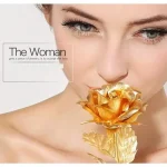 Luxury Decorative Gold Plated Artificial Golden Rose with Premium Box ( default, Standard )